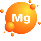 magnez