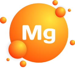 magnez